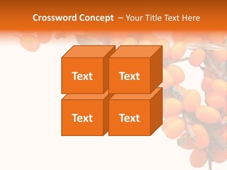 Orange Nature Season PowerPoint Template