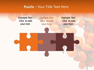 Orange Nature Season PowerPoint Template