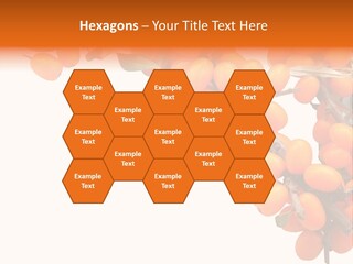 Orange Nature Season PowerPoint Template