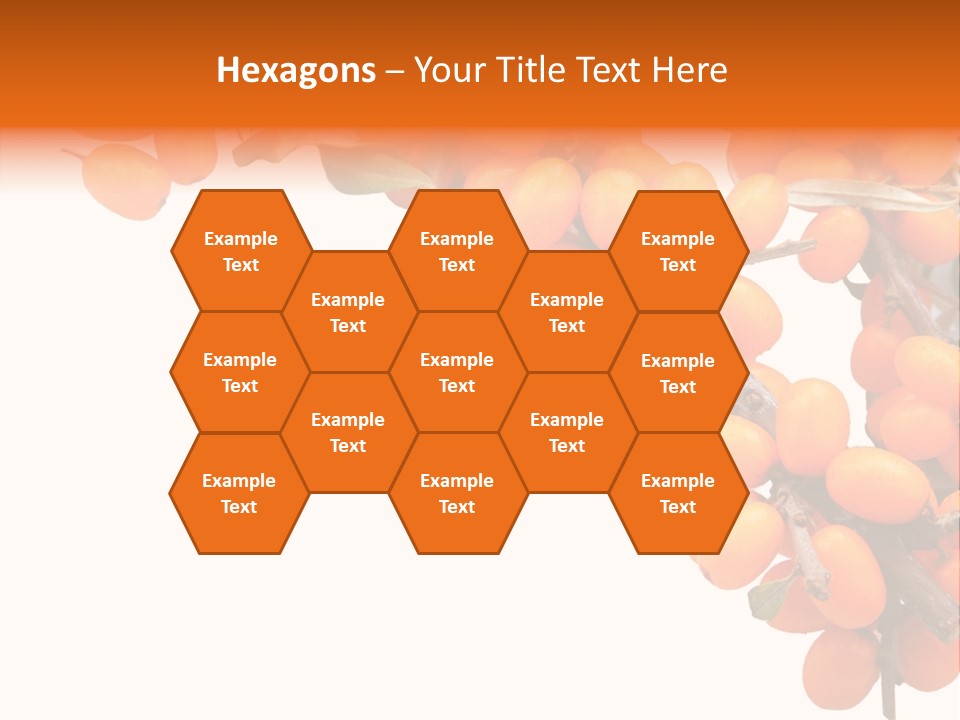 Orange Nature Season PowerPoint Template