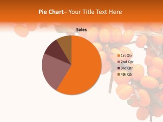 Orange Nature Season PowerPoint Template