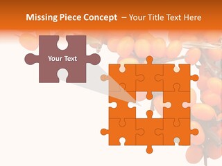 Orange Nature Season PowerPoint Template