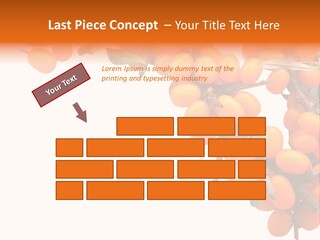 Orange Nature Season PowerPoint Template