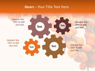 Orange Nature Season PowerPoint Template