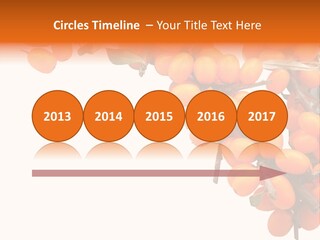 Orange Nature Season PowerPoint Template