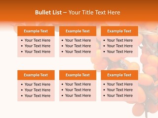 Orange Nature Season PowerPoint Template