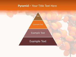 Orange Nature Season PowerPoint Template