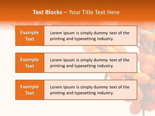 Orange Nature Season PowerPoint Template