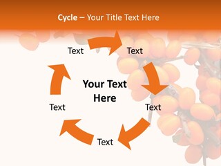 Orange Nature Season PowerPoint Template