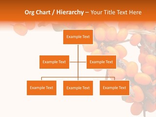 Orange Nature Season PowerPoint Template