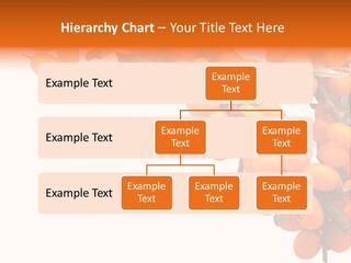 Orange Nature Season PowerPoint Template