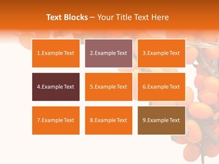 Orange Nature Season PowerPoint Template