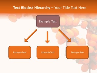 Orange Nature Season PowerPoint Template