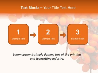 Orange Nature Season PowerPoint Template