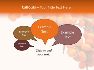 Orange Nature Season PowerPoint Template