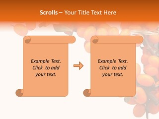 Orange Nature Season PowerPoint Template