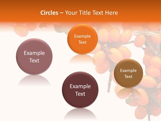 Orange Nature Season PowerPoint Template
