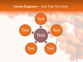 Orange Nature Season PowerPoint Template