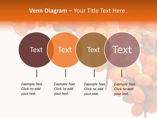 Orange Nature Season PowerPoint Template
