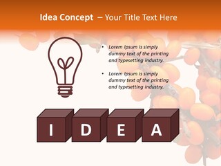 Orange Nature Season PowerPoint Template