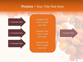Orange Nature Season PowerPoint Template