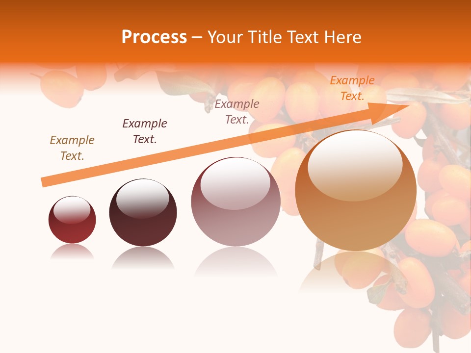 Orange Nature Season PowerPoint Template