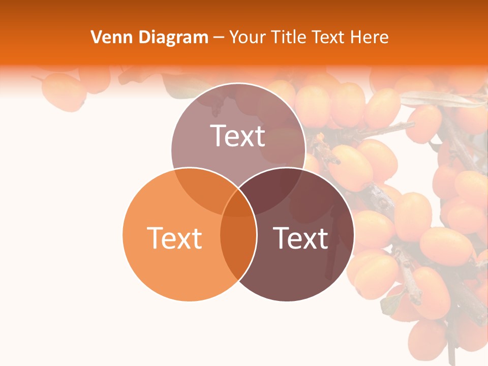 Orange Nature Season PowerPoint Template