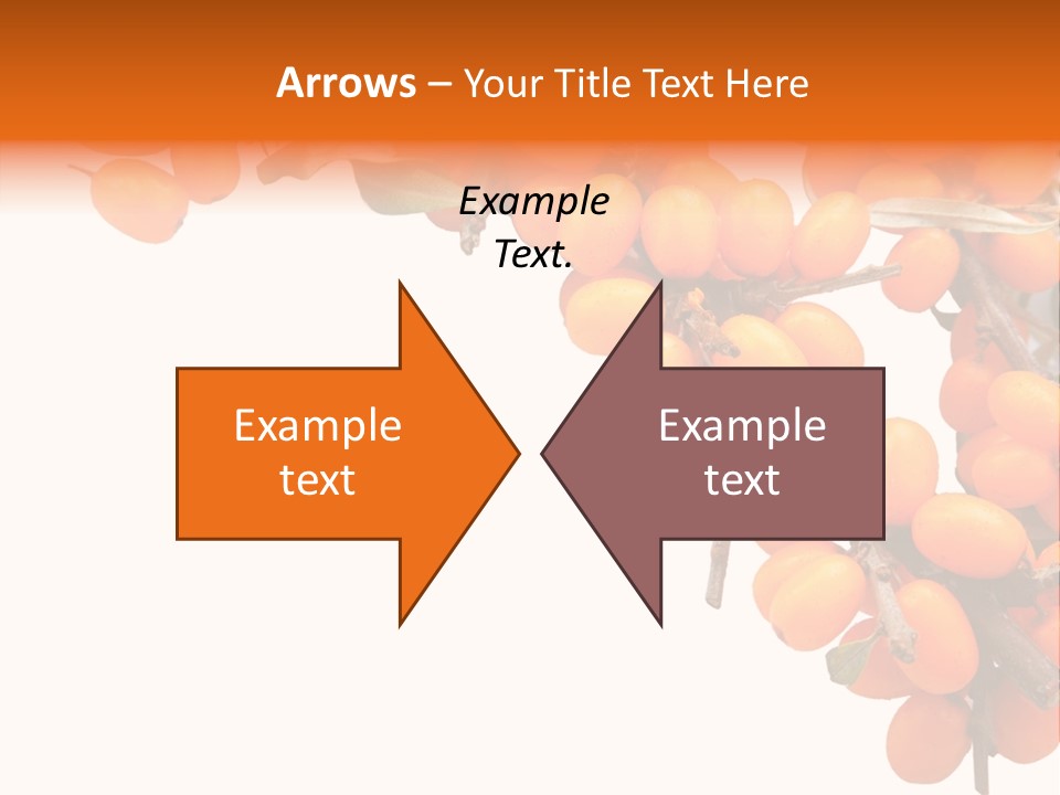 Orange Nature Season PowerPoint Template