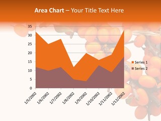 Orange Nature Season PowerPoint Template