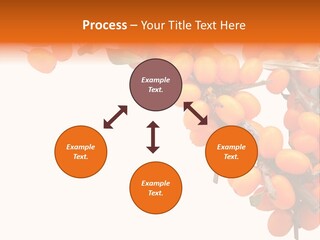 Orange Nature Season PowerPoint Template