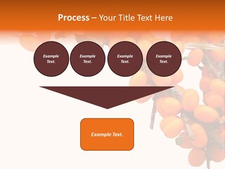 Orange Nature Season PowerPoint Template