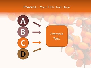 Orange Nature Season PowerPoint Template