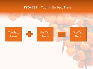 Orange Nature Season PowerPoint Template