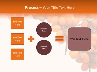 Orange Nature Season PowerPoint Template