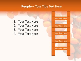 Orange Nature Season PowerPoint Template