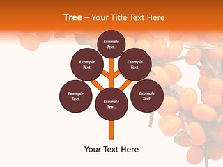 Orange Nature Season PowerPoint Template