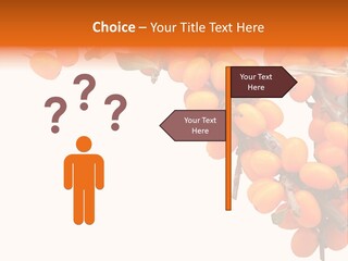 Orange Nature Season PowerPoint Template