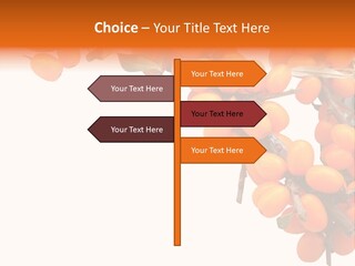 Orange Nature Season PowerPoint Template