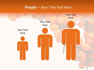 Orange Nature Season PowerPoint Template