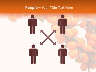 Orange Nature Season PowerPoint Template