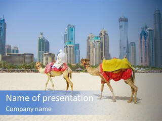 Africa Animal Arab Arabia Arabian Arabic Asia Beach Beas Middle East Summer PowerPoint Template