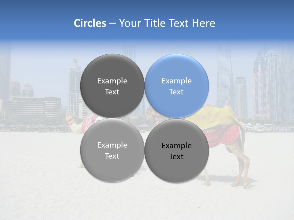 Africa Animal Arab Arabia Arabian Arabic Asia Beach Beas Middle East Summer PowerPoint Template