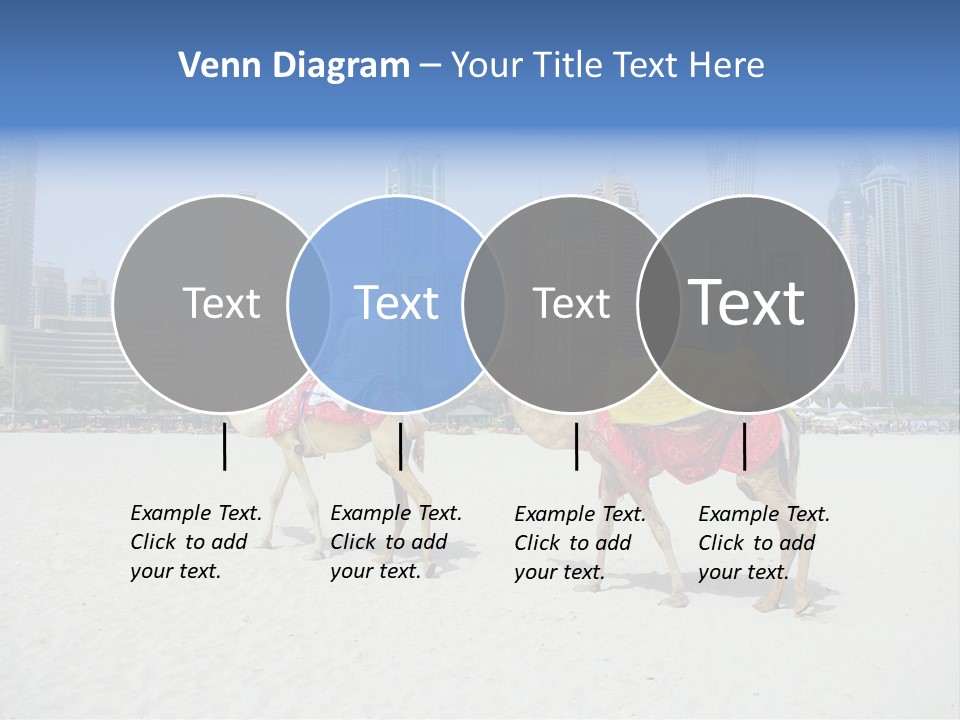 Africa Animal Arab Arabia Arabian Arabic Asia Beach Beas Middle East Summer PowerPoint Template