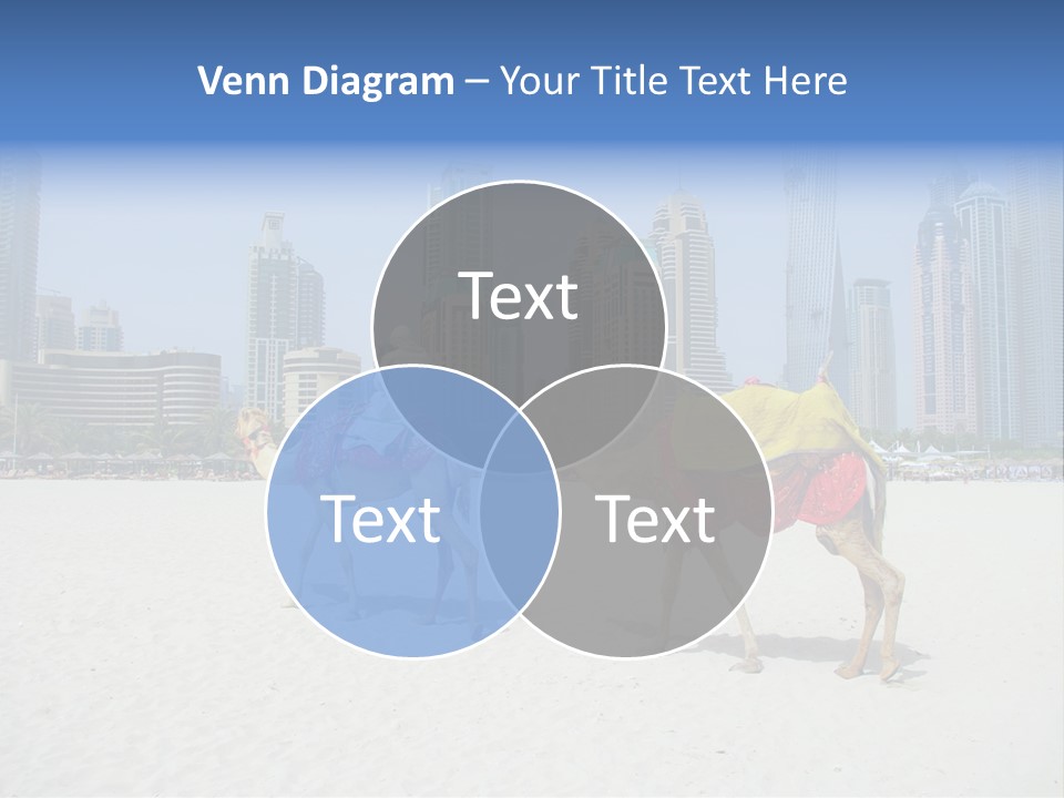 Africa Animal Arab Arabia Arabian Arabic Asia Beach Beas Middle East Summer PowerPoint Template