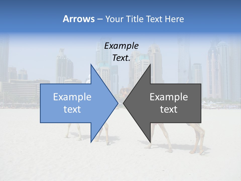 Africa Animal Arab Arabia Arabian Arabic Asia Beach Beas Middle East Summer PowerPoint Template