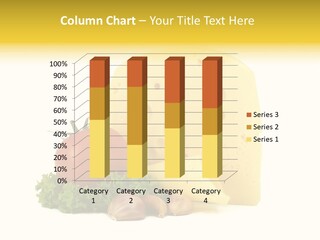 Targ Potrawa Lato PowerPoint Template