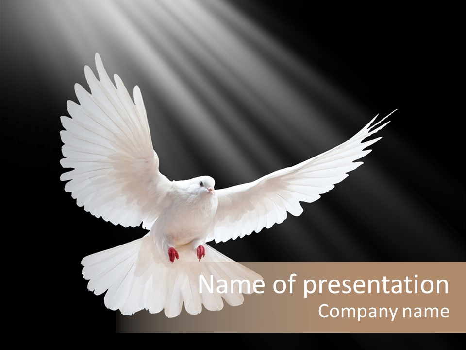 Hope High Flying PowerPoint Template