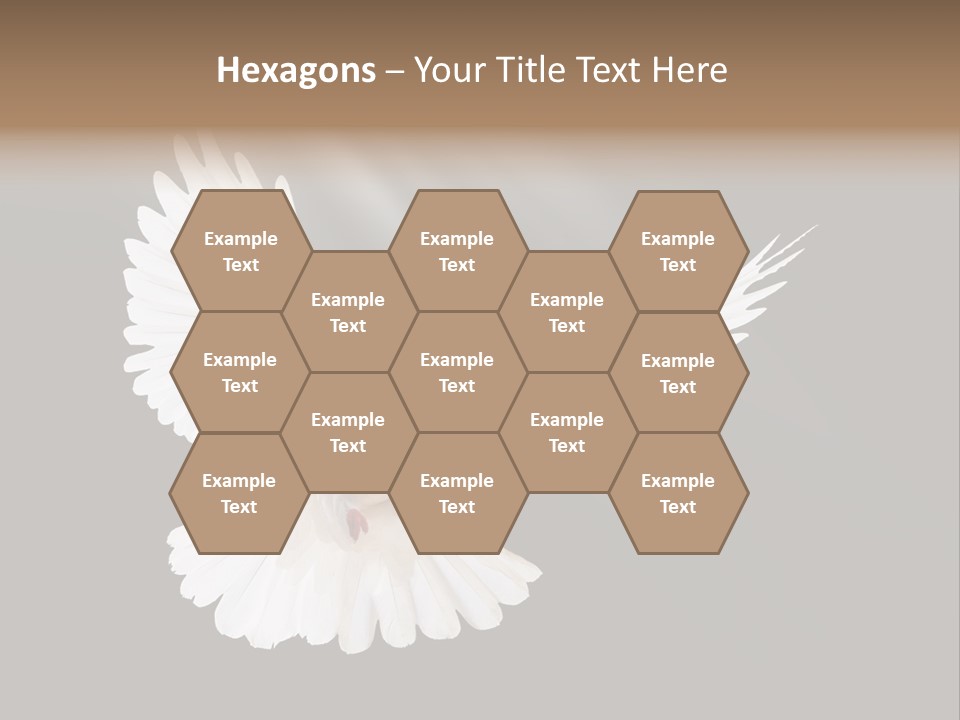 Hope High Flying PowerPoint Template