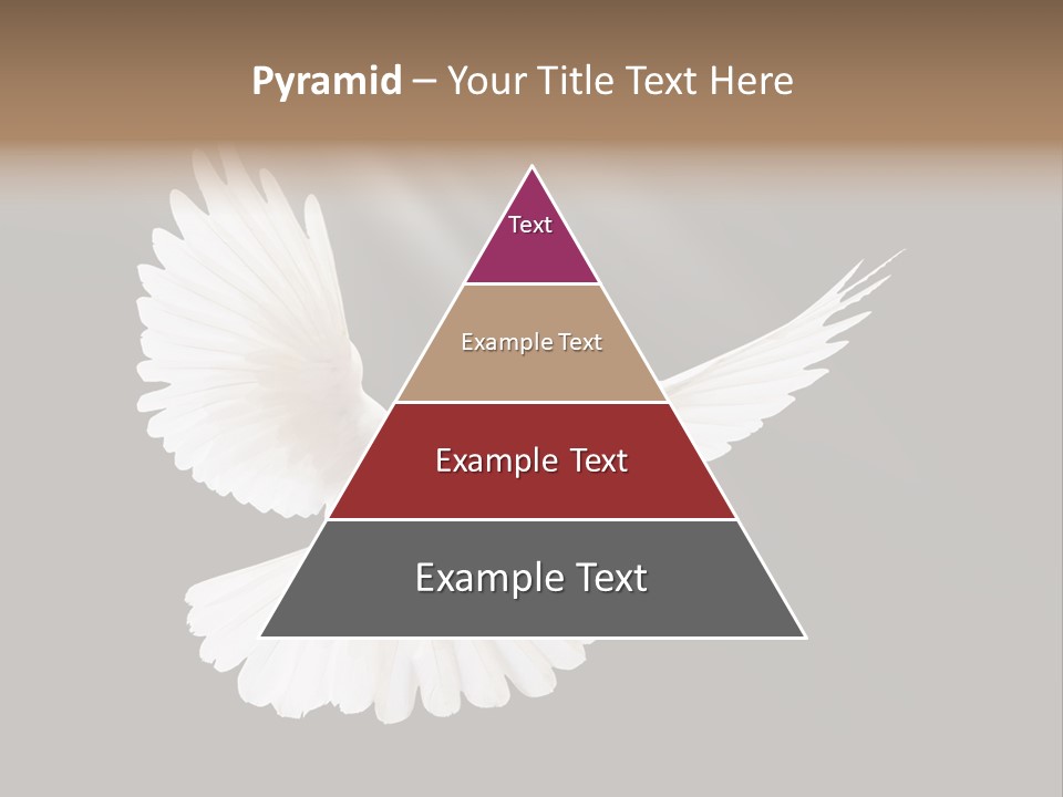 Hope High Flying PowerPoint Template