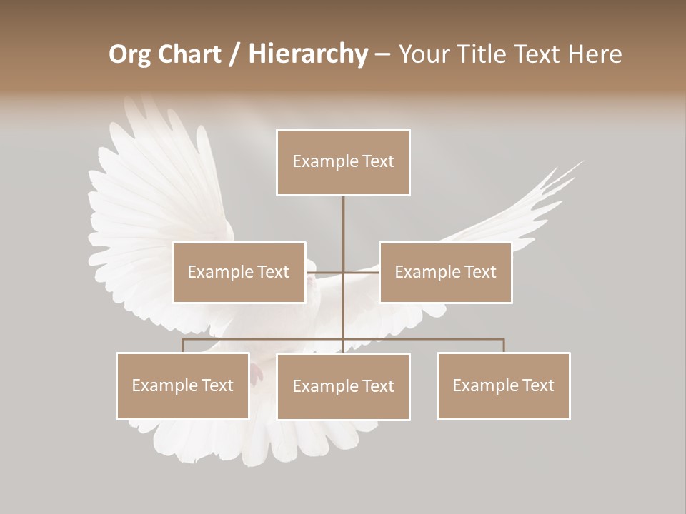 Hope High Flying PowerPoint Template